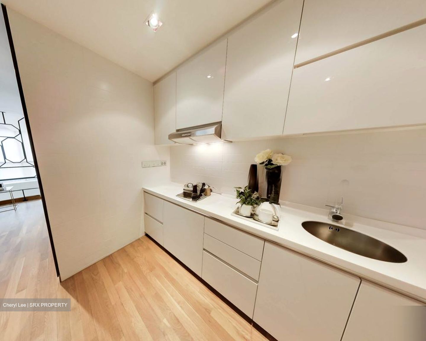 Skysuites@Anson (D2), Apartment #514496781